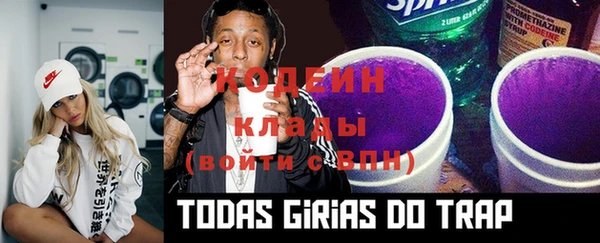 эйфоретик Липки