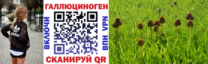 купить  сайты  Мариинск  MEGA ссылки  Псилоцибиновые грибы Cubensis 